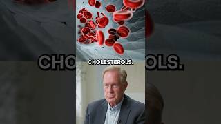 What Actually Causes High Cholesterol  Dr Robert Lustig [upl. by Etteneg]