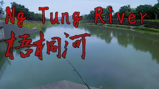 HK Fishing Lures Fishing in Ng Tung River 梧桐河 假餌 路亞 [upl. by Nauqyt183]