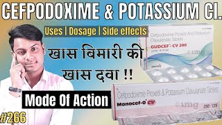 Cefpodoxime proxetil and potassium clavulanate tablets used for  Gudcef cv 200 tablet uses in hindi [upl. by Dworman]