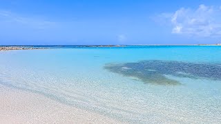 The Most Beautiful Beach in Aruba [upl. by Ynotna321]