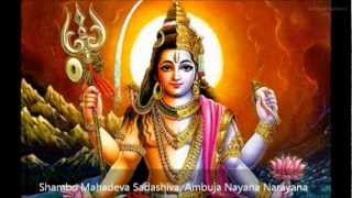 Lord HariHara Bhajan Shambo Mahadeva Sadashiva Ambuja Nayana Narayana [upl. by Noramac]