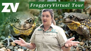 Tour the Healesville Sanctuary Froggery and meet the Southern Giant Burrowing Frog [upl. by Leirea]