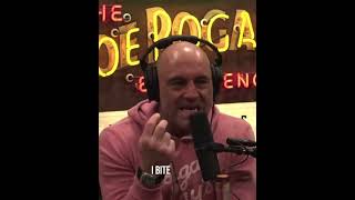 Joe Rogan Talks about Jawzrsize [upl. by Palestine]