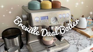 How To Clean Breville Coffee Machine Breville Dual Boiler [upl. by Esele709]