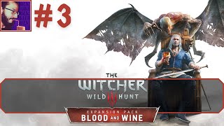 THE WITCHER 3  WH  BLOOD AND WINE 3  Le laissezpasser A38 [upl. by Buffy]