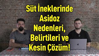 Süt İneklerinde Asidoz Nedenleri Belirtileri ve Kesin Çözüm 🐄🚫 [upl. by Adnohsak]