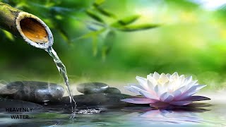 Relaxing Meditation Music  Bamboo Water Sounds Soothing music Relieves stressHeavenly Water [upl. by Reni541]