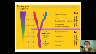 Micro vs Macro Evolution [upl. by Alliuqahs]