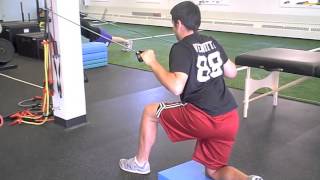 Trunk Core Control Drill  Mike Reinold [upl. by Koressa]