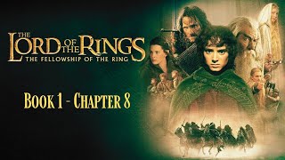 Lord Of The Rings Audiobook  Chapter 8 [upl. by Eteragram]