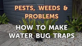 How to Make Water Bug Traps [upl. by Lundquist]