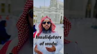 Invalidators of Wudu for Beginners Fiqh [upl. by Atinehs458]