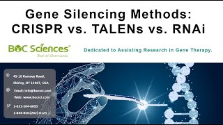 Gene Silencing Methods  CRISPR vs TALENs vs RNAi  siRNA  sgRNA  BOC Sciences [upl. by Einahpets]