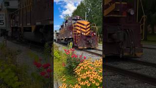 Great Smoky Mountain Railroad Tuckasegee River Excursion [upl. by Alderman]