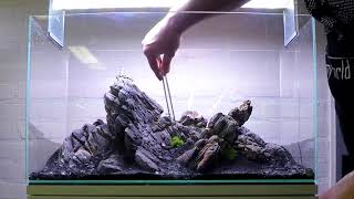 How to scape an Iwagumi easy and simple 60L Step by step [upl. by Alick]