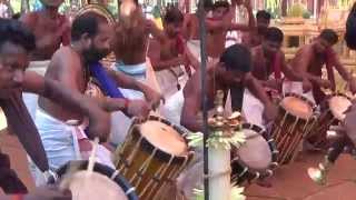 best chenda melam video climax [upl. by Tadd]