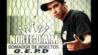 norte dam  freestyle rap chileno [upl. by Xed]