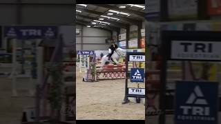 Who else loves elphickeventponies shes my favoritehorse pony fyp shorts grey showjumping [upl. by Gray]