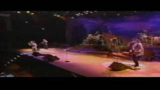 Cyndi LauperAll through the night  March 21 1991 LYRIC  Live Yokohama Japan [upl. by Yasibit]