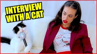 MIRANDA INTERVIEWS A CAT [upl. by Candi]