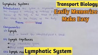 Lymphatic System  Lypmh  Class 11 Biology [upl. by Gnohc]