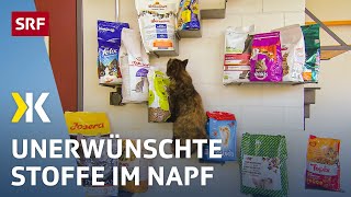 Katzenfutter im Test Gesundheitsgefährdende Stoffe im Katzennapf  2018  Kassensturz  SRF [upl. by Paulsen]