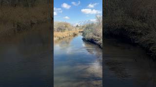 Jordan River Parkway Trail  Murray Section [upl. by Melina]