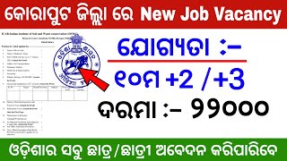 New Job Vacancy in Koraput District  Apply all Odisha Students [upl. by Latouche]