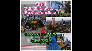 New Taman Bunga Celosia [upl. by Evelyn]