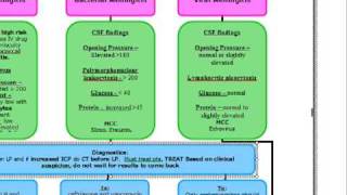 USMLE ALGORITHMS MENINGITIS [upl. by Nodgnal515]