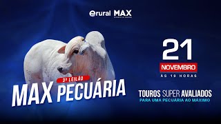 3º Leilão Max Pecuária Touros Super Avaliados para uma pecuária ao máximo [upl. by Amoreta662]