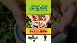 Aprende a preparar tu propio fertilizante orgánico fácil y rápido  Jardinería en casa [upl. by Raphaela13]