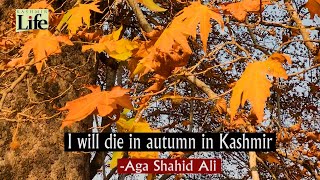 Kashmir The Autumn Season [upl. by Nuawed905]