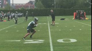 Eagles rookie RB Donnel Pumphrey fields punts at OTAs [upl. by Xed469]