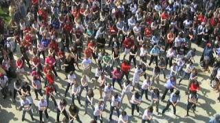 Denison University Flash Mob [upl. by Drofniw]