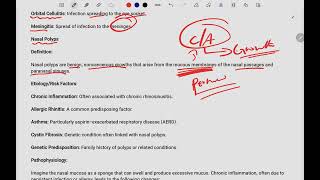 2 Respiratory Pathology 2024 Sinusitis And Nasal Polyp [upl. by Ettinger]