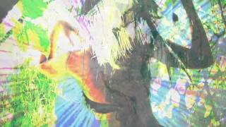 Mona Shpongled Hoops  Shpongle Divine Moments of Truth DMT [upl. by Noiro]