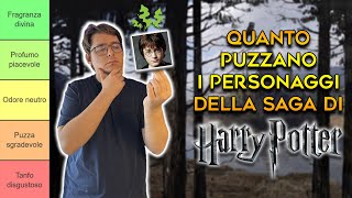 Quanto PUZZANO i personaggi di HARRY POTTER  TIER LIST [upl. by Aramenta]