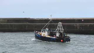 Fraserburgh Harbour 20231209 [upl. by Fleck]