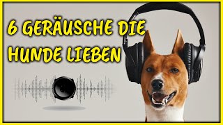 Geräusche die Hunde dazu bringen den Kopf zu neigen GARANTIERT [upl. by Stace]