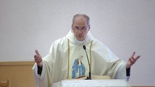 Homily  Saturday June 8 2024  St Aidan Parish by Fr Steven [upl. by Acirej]