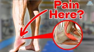 5 BEST Peroneal Tendinopathy Rehab Exercises [upl. by Aicetal]