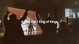 Agnus Dei  King of Kings  CityHope Music [upl. by Marylee]