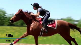 Milestone Equestrian Shelby Dennis Channel Trailer [upl. by Eillod]