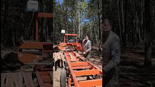 Sawing Cedar Siding with the WoodMizer LT15 sawmill [upl. by Herv559]