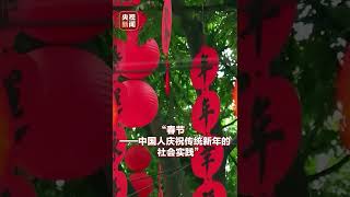 中国春节申遗成功！2025蛇年，我们将迎来第一个世界非遗版春节！ CCTV [upl. by Akeylah]