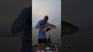 Redfish Release 🎣 [upl. by Bohannon189]