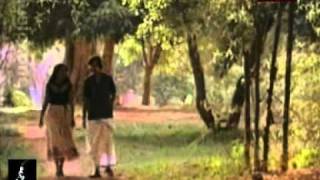 Illayaraaja for Malayalam With Memories Silent Bird [upl. by Homere]