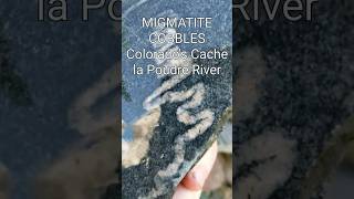 My Daily Rock 56 Migmatite Cache La Poudre River Colorado rockhounding geology metamorphic [upl. by Airel561]