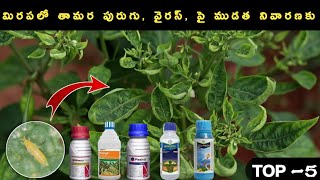 మిరపలో తామర పురుగు వైరస్ పై ముడత నివారణకు syngenta plesivaminto extra syngentacorteva engage [upl. by Marra]